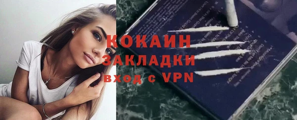 дмт Горняк