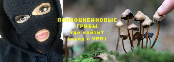 ALPHA PVP Горно-Алтайск