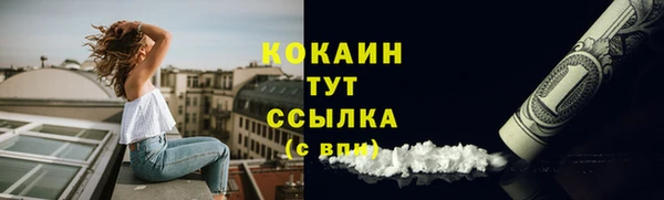 дмт Горняк