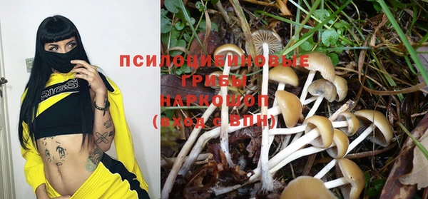 jwh Горнозаводск