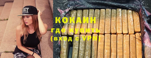 дмт Горняк