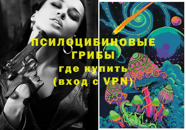 дмт Горняк