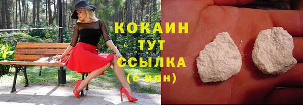 дмт Горняк
