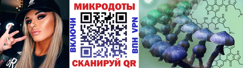 Галлюциногенные грибы мухоморы  Новочеркасск 
